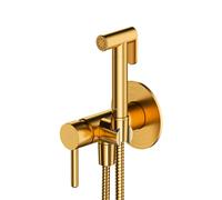 OMNIRES Y Mitigeur de bidet avec douchette, SYSYBI2GLB,