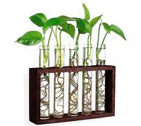 Ompinda Station de propagation de plantes, vase en verre à 5 tubes à essai avec support en bois à suspendre au mur, parfait pour la maison, le bureau, la décoration de jardin
