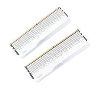 Omquot 2 X 16 Go DDR5 6400 MHz Kit de Modules de Mémoire RVB Ultra Haute Vitesse pour Ordinateur de Bureau 1,25 V