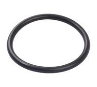 Oms Poche De Lestage O-ring To Keep D-rings At Weighs Vertical