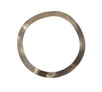 Oms Vanne P Wave Spring Washer