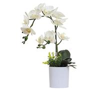 Omygarden Orchidée Blanche en Pot - Fleurs artificielles en Plastique - Décoration pour la Maison, Le Bureau, Le Mariage (2 Bouquets)