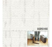 On Broken Wings - Some of Us May Never See the World