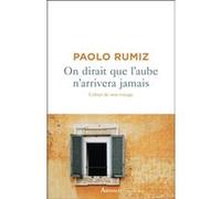 On dirait que l'aube n'arrivera jamais Paolo Rumiz (Auteur), Béatrice Vierne (Traduction)