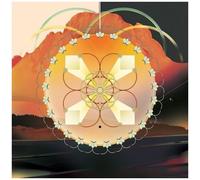 Matthewdavid – On Mushrooms (A Primer for Mycelium Music) – Vinyle
