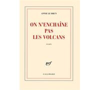 On n'enchaîne pas les volcans - Annie Le Brun - Gallimard - broché - Essai