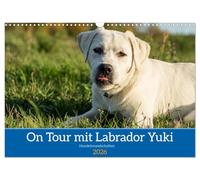 On Tour mit Labrador Yuki (Wandkalender 2026 DIN A3 quer), CALVENDO Monatskalender: Der junge Yuki trifft seine besten Freunde, dabei spielen weder Rasse, Alter noch Größe eine Rolle.