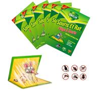 ONCLIK Piège à Souris & Rats - Pièges à Colle Puissante - Plaque Collante Anti Rat, Souris, Insectes - Attrape Efficace - Grande Taille, Prêt à l’Emploi (Lot de 6)