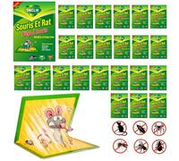 ONCLIK Plaque Collante Souris à Colle puissante - Lot de 24 | Pièges à Souris Collants (piège à Souris Collante), Colle pour Souris, Attrape Souris & rongeurs