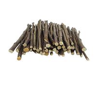 Oncpcare Bâtonnets en bois naturel bio pour animal domestique - 400 g - Pour hamster, cochon d'Inde, chinchilla, écureuil, lapin, rats