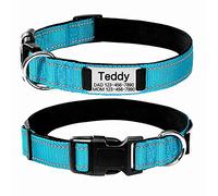 Oncpcare Collier pour Chien personnalisé avec Plaque Nominative, sans Bruit, médailles d'identification personnalisées, Collier réfléchissant de Dressage pour Chiens