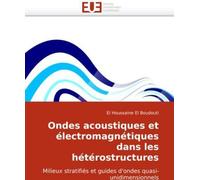 Ondes Acoustiques Et Electromagnetiques Dans Les Heterostructures