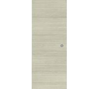 Ondis24 SLIDE Porte coulissante pour appartement avec rail le long du mur, séparateur de pièce intérieur avec rail, système de porte coulissante, séparateur de pièce avec guide au sol, 93 cm, grise