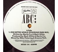 One Better World (Pickering Park Mix)
