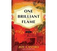 One Brilliant Flame by Joy Castro Joy Castro (Auteur)