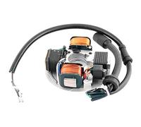 one by Camamoto cod. 77199491 stator aimant volant compatible avec Vespa pk 50cc réf. Orig.199491