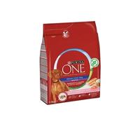 PURINA ONE | Sensitive | Croquettes Chien Adulte moyenne et grande taille > 10Kg | Facilite la digestion, maintien les muscles forts et un niveau suffisant d'énergie | Saumon | Sac | Lot de 4 x 2,5 kg