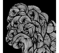 One Day All This Will End