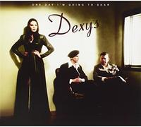 One Day I'm Going to Soar