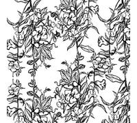 One drop of most beautiful