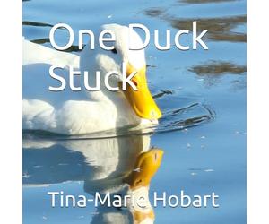 One Duck Stuck