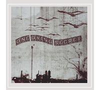 One Dying Secret - A Moment Truth for a Years Worth of Lies