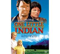 One Little Indian [Import USA Zone 1]