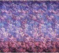 One Little Plane - Into the Trees