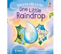 One Little Raindrop – Usborne