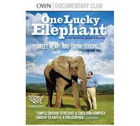 One Lucky Elephant [Dvd] [Import]