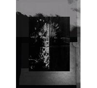 One Millimeter of Black Dirt and a Veil of Dead Cows