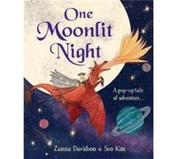 One Moonlit Night Susanna Davidson, Seo Kim (Auteur)