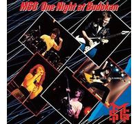 One Night At Budokan