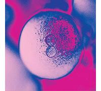 One O'Clock Lab Band - Lab 2018/The Rhythm of The Road