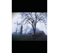 One of Their Own: Book 3 of The Consequence Series