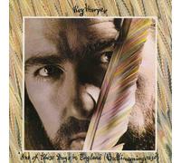 one of those days in england (bullinamingvase) LP