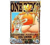 One Piece 15th Piece.8 [Dvd]