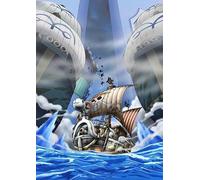 One Piece 9th Piece.7 [Dvd]