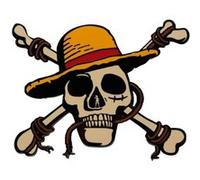 One Piece - Médaillon Jolly Roger Limited Edition