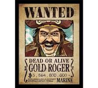 Pyramid ONE PIECE NETFLIX - Gold Roger - Impression encadrée 30x40cm