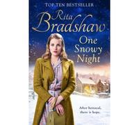 One Snowy Night