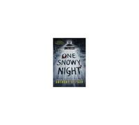One Snowy Night