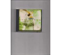 One Sound Many Voices [Import]