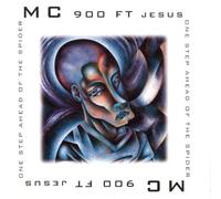 One Step Ahead of The Spider