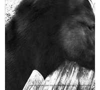 One Step More and You Die/New York Soundtracks