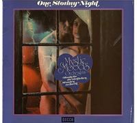 One Stormy Night [Vinyl LP]