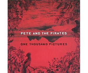 One Thousand Pictures by Pete And The Pirates