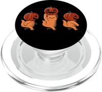 One Two Three Cute Kittens Pumpkin Halloween Spooky Vintage PopSockets PopGrip pour MagSafe