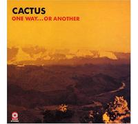 One Way Or Another