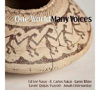 One World Many Voices [Cd]